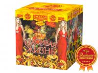 Красивая жизнь Фейерверк купить в Карачаевске | karachaevsk.salutsklad.ru