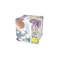 Новогодняя ночь Салют купить в Карачаевске | karachaevsk.salutsklad.ru