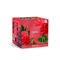 Пионы Салют купить в Карачаевске | karachaevsk.salutsklad.ru