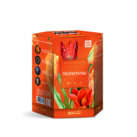 Тюльпаны Салют купить в Карачаевске | karachaevsk.salutsklad.ru