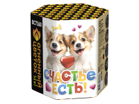 Счастье есть! Салют купить в Карачаевске | karachaevsk.salutsklad.ru