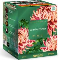 Хризантемы Фейерверк купить в Карачаевске | karachaevsk.salutsklad.ru