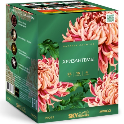 Хризантемы Фейерверк купить в Карачаевске | karachaevsk.salutsklad.ru