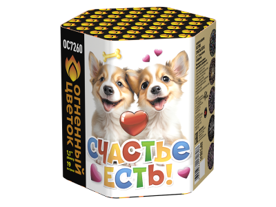 Счастье есть! Салют купить в Карачаевске | karachaevsk.salutsklad.ru